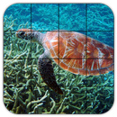 APK Tile Puzzles · Turtles