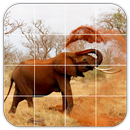 Tile Puzzles · Africa APK