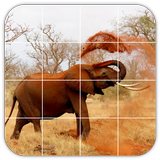 Tile Puzzles · Africa icône