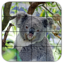 Tile Puzzles · Australia APK