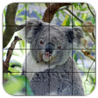 Tile Puzzles · Australia icône