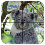 Tile Puzzles · Australia icon