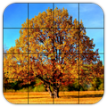 ”Tile Puzzles · Autumn