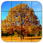 Tile Puzzles · Autumn biểu tượng