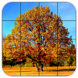 Tile Puzzles · Autumn icône