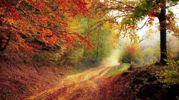 Tile Puzzles · Autumn постер