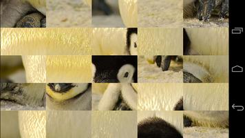 Tile Puzzles · Baby Animals Ekran Görüntüsü 1