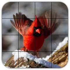 Baixar Tile Puzzles · Birds APK