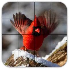 Скачать Tile Puzzles · Birds APK