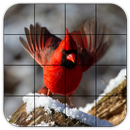 Tile Puzzles · Birds APK