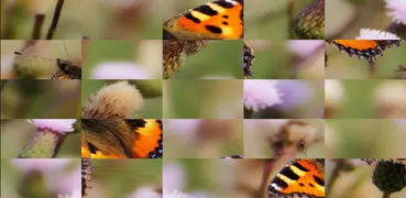 Tile Puzzles · Butterflies