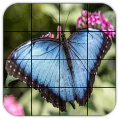 Tile Puzzles · Schmetterlinge APK Herunterladen