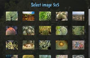 پوستر Tile Puzzles · Cactus