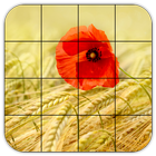 Tile Puzzles · Fields أيقونة
