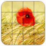 Tile Puzzles · Fields アイコン