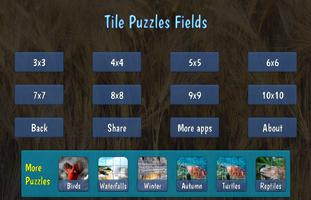 Tile Puzzles · Fields screenshot 3