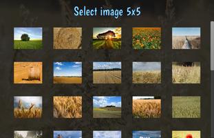 Poster Tile Puzzles · Fields