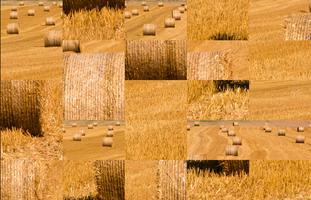 Tile Puzzles · Fields capture d'écran 1