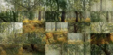Tile Puzzles · Wälder