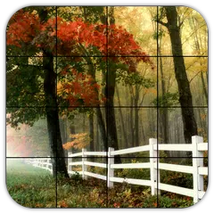 Tile Puzzles · Forests APK download