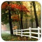 Tile Puzzles · Forests أيقونة