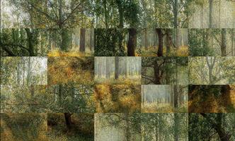Tile Puzzles · Forests capture d'écran 3
