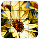 Tile Puzzles · Flowers APK