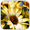 Tile Puzzles · Flowers