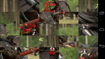 Tile Puzzles · Horses скриншот 1