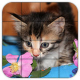 Tile Puzzles · Kittens icône