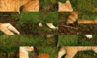 برنامه‌نما Tile Puzzles · Kittens عکس از صفحه