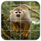 Tile Puzzles · Monkeys иконка