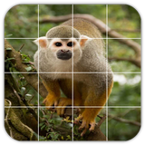 Tile Puzzles · Monkeys иконка