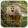 Tile Puzzles · Monkeys