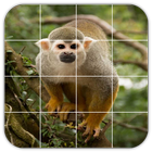 Tile Puzzles · Monkeys icône