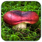 Tile Puzzles · Mushrooms biểu tượng