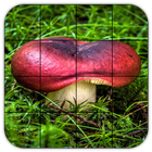 Tile Puzzles · Mushrooms ícone