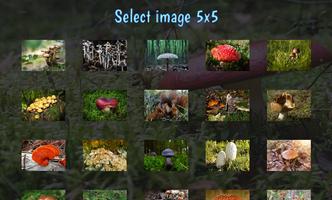 Tile Puzzles · Mushrooms poster