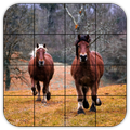 Tile Puzzles · Natur