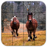 Tile Puzzles · Nature иконка