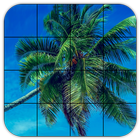 Tile Puzzles · Palm Trees أيقونة