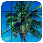 Tile Puzzles · Palm Trees icône