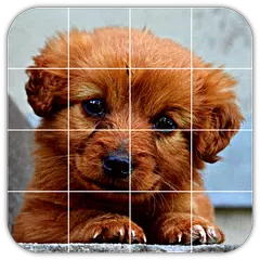 Tile Puzzles · Puppies APK download