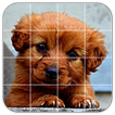 Tile Puzzles · Puppies