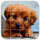 Tile Puzzles · Puppies ícone