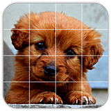 Tile Puzzles · Puppies icon
