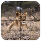 Tile Puzzles · Safari आइकन
