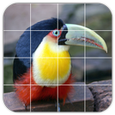 APK Tile Puzzles · South America