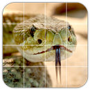 APK Tile Puzzles · Snakes