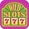 Crazy Wild Slots - Las Vegas APK